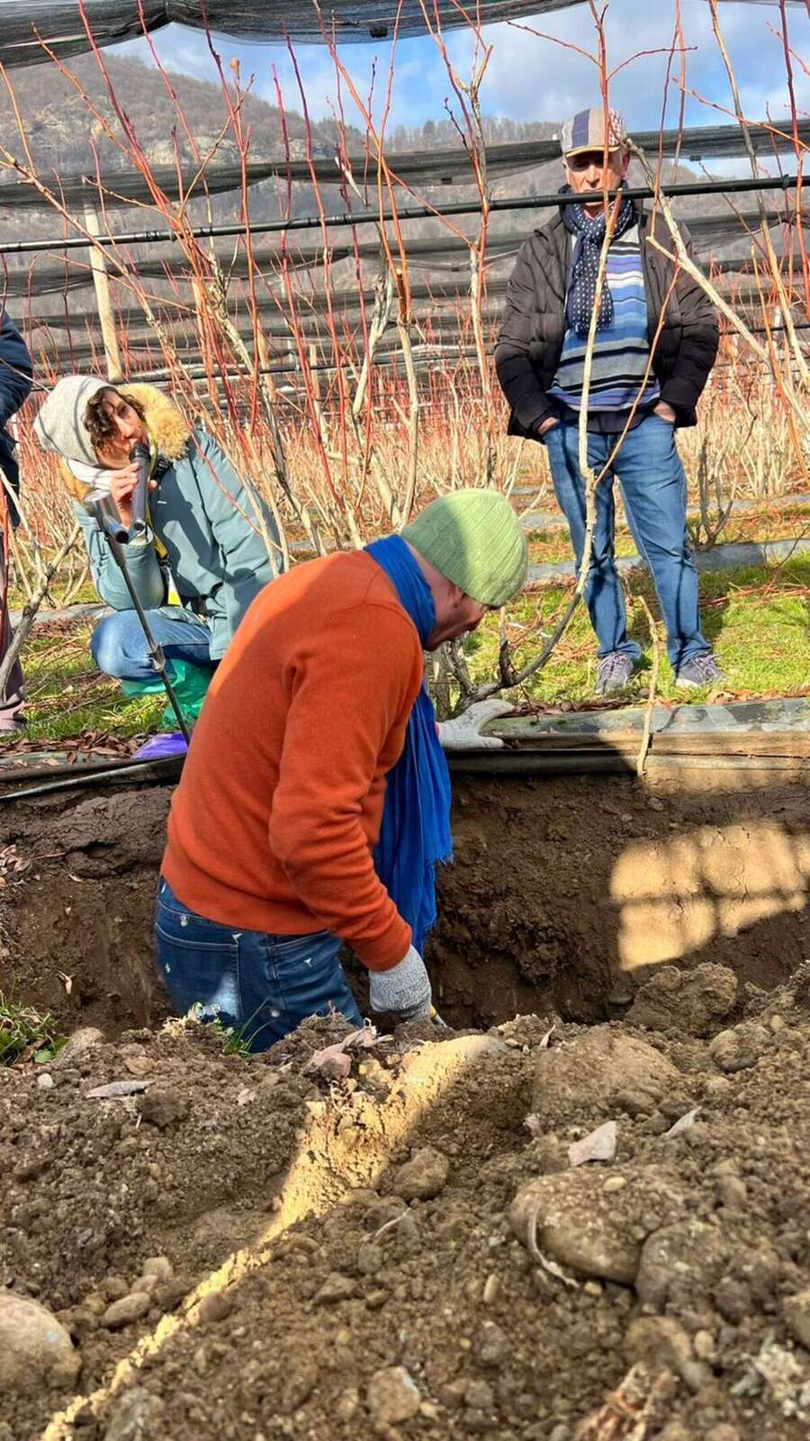 The Cultural Mediator Role